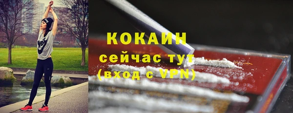 молекула духа Протвино