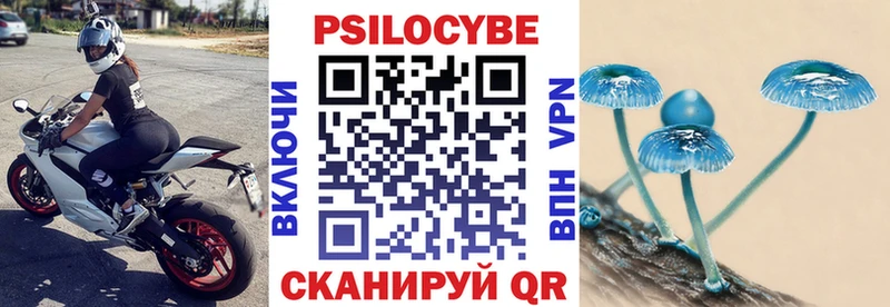 купить  сайты  Дивногорск  Псилоцибиновые грибы мухоморы 